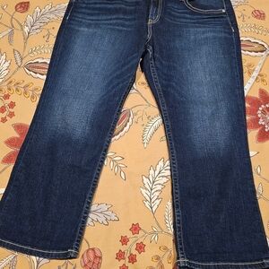 ana Classic Blue Denim Ankle Jeans